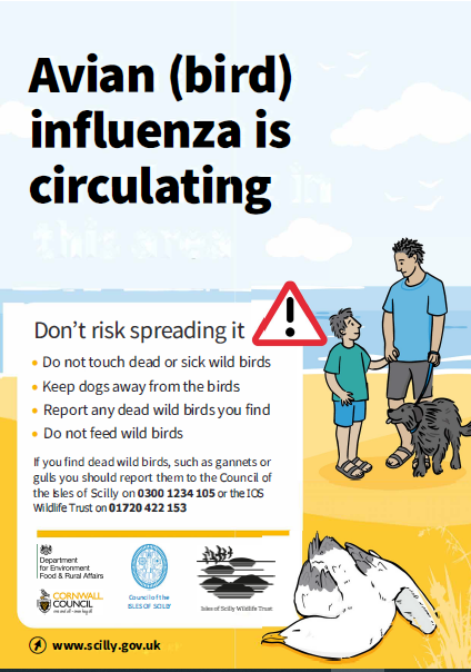 Bird Flu Poster
